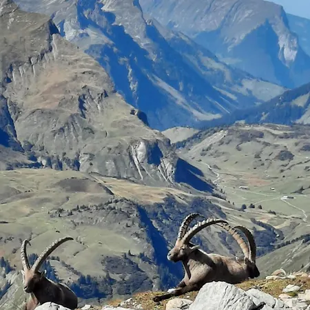 Haus Schroefler * Lech am Arlberg