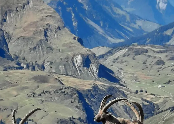 Haus Schroefler * Lech am Arlberg